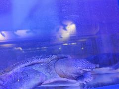 -十六蒲(桂林路店)