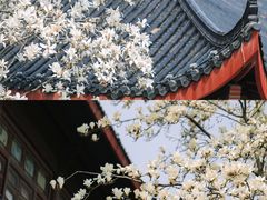 -堤角公园