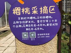 -菊园百果园