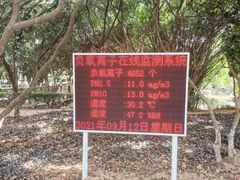 -八仙山公园