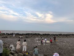 -南汇嘴观海公园