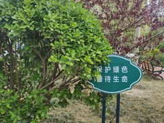 -和平区健康主题公园