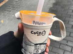 鲜芋青稞醇牛奶-CoCo都可(骆家庄新店)