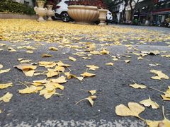 -李与白包子铺(桐梓林店)