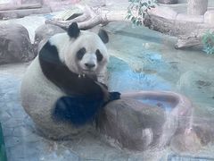-南宁市动物园