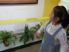 -上海昆虫博物馆