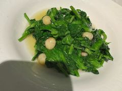 鲜莲子嫩豆苗-食廬(虹桥南丰城店)