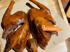 红烧鸽子-三强鸽子(胜利路店)