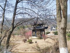 -龙寺生态园