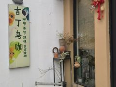 -吉丁鸟咖·异宠·寄养