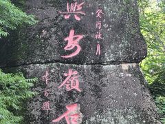 -汤旺河林海奇石景区