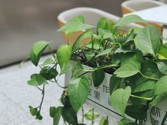 -依茉朵(锦秋新天地店)