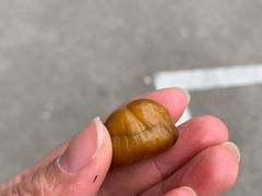 -好好栗子店(海宁总店)