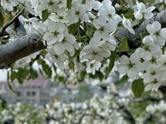 -崂山风景区-大河东游客中心