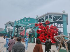 -荷兰花海