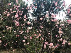 -鲁迅公园-垂钓中心