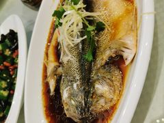 -双井轩(双井店)