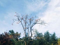 -香山公园-东宫门售票处