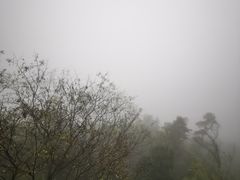 -九华山风景区-东崖禅寺