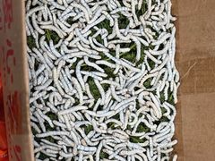 -青石桥花鸟鱼虫市场(叠翠城店)