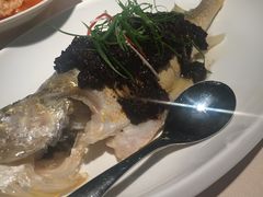 -琥珀·原创臻选店(维家思店)