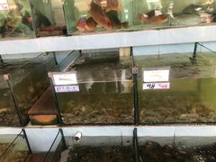 水产区-秋姐美食店(旅游大道店)
