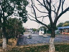 -上海海湾国家森林公园