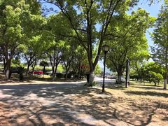 -龙寺生态园