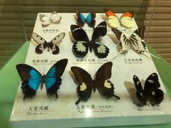 -蝴蝶泉公园