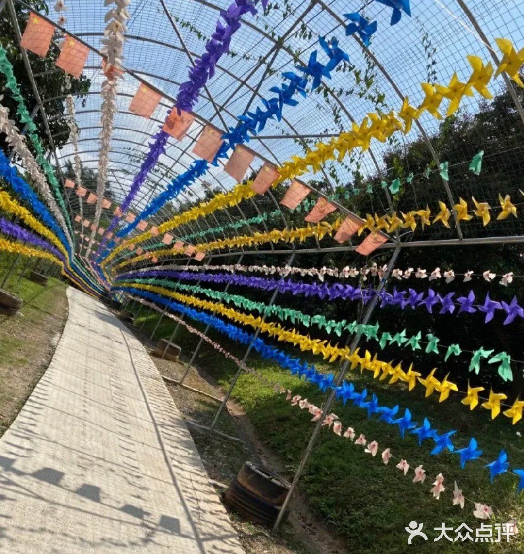 阳光明媚🌞,带孩子来踏青吧⭐！
