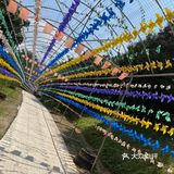 阳光明媚🌞,带孩子来踏青吧⭐！