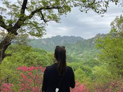 -西泰山风景区