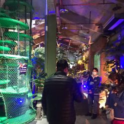 -恐龙探索乐园(磁器口店)