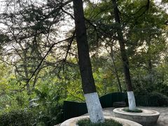 -北极阁公园