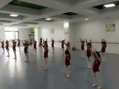 -西安小天鹅艺术团(金花路校区)