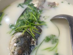 -紫藤园·天目湖大鱼头(南山竹海店)