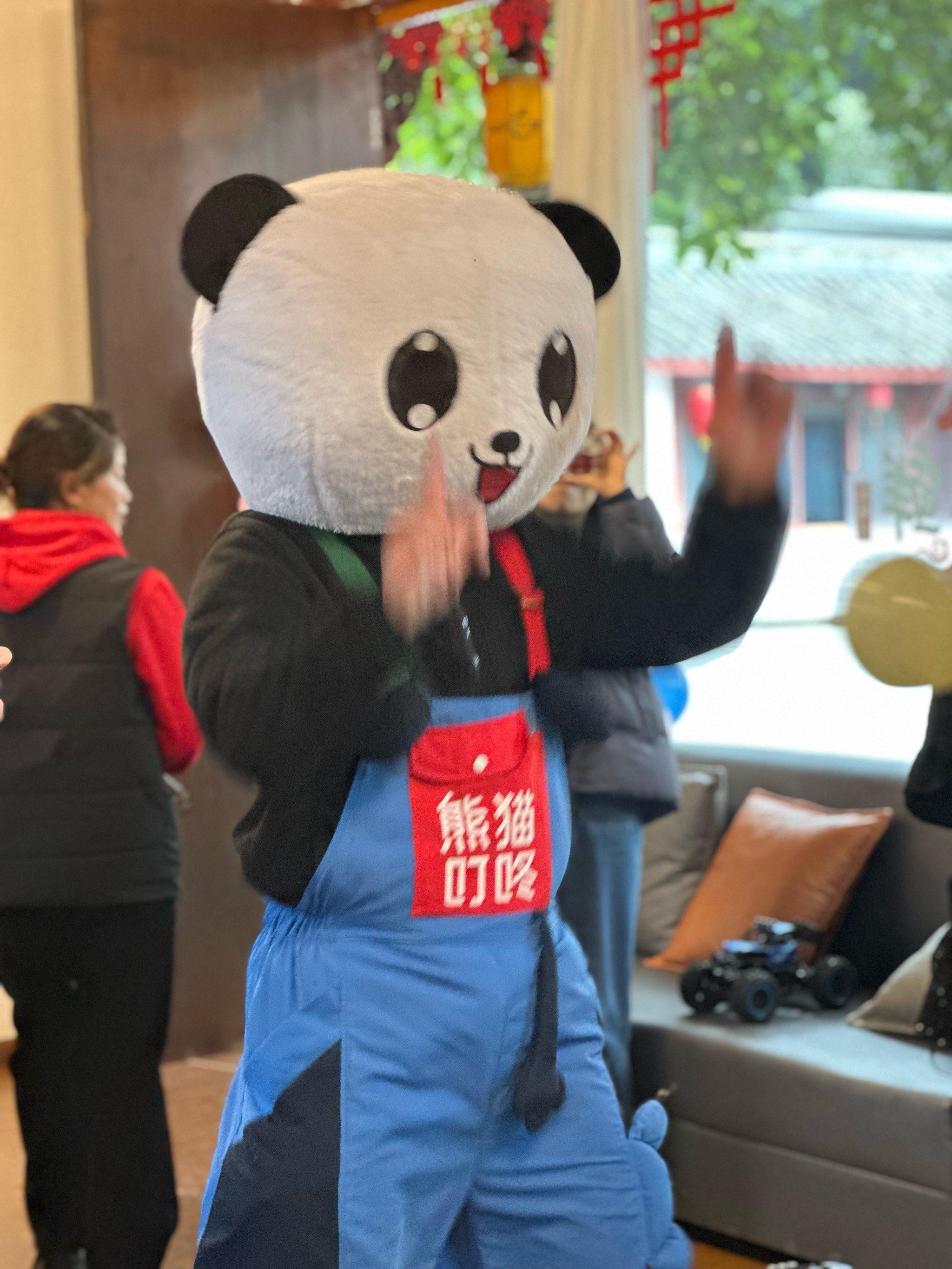 我们熊猫的日常照 开心快乐的上班吧 嘻嘻