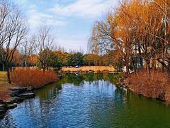 -上海滨江森林公园