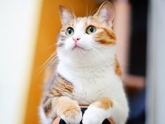 -很久以前羊肉串(农科路店)