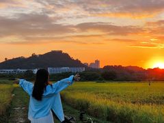 -光明小镇欢乐田园