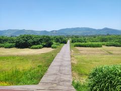 -良渚古城遗址公园
