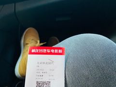 -枫花园汽车电影院(朝阳公园店)