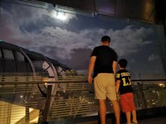 -上海滴水湖皇冠假日酒店