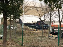 -上海月湖雕塑公园