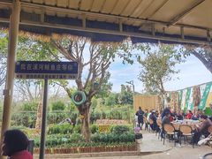 -苏记溪河鲢鱼庄(天府新区店)