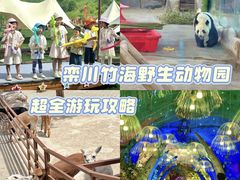 -栾川竹海野生动物园