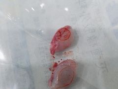 -伟伟宠物医院·CT影像中心·瑞派犬猫综合性门诊(汉口总院)