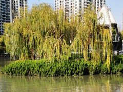 -苏州河梦清园环保主题公园