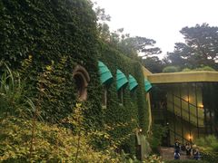 -三鹰之森吉卜力美术馆