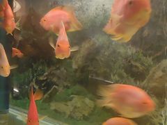 -华夏良子·足道SPA艾灸(王府井店)